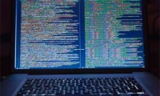 养金毛的秘诀：这些实用小技巧你肯定感兴趣！